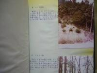 昭和52年度 近畿道伊勢線伊勢地区環境事前評価報告書