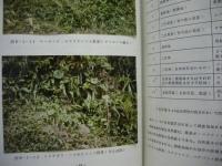 県道上屋久永田屋久線改良計画に係わる環境影響評価 報告書