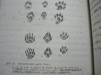 環境変化が生物におよぼす影響の評価手法に関する調査研究報告書