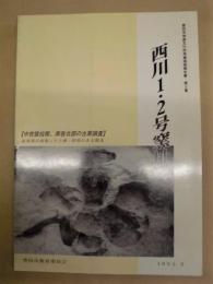 西川1・2号窯址　【中世猿投窯、黒笹北部の古窯調査】前庭部の重複した土壙・陰刻のある陶丸