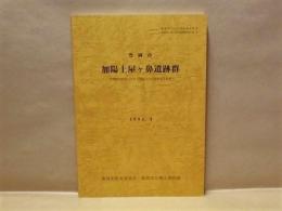 豊岡市 加陽土屋ヶ鼻遺跡群　民間開発事業にかかる埋蔵文化財発掘調査概要