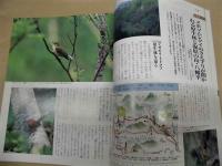 日本列島 野鳥 maps　・東北の野鳥