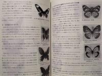 フィリピンパラワン島調査旅行記