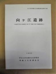 向ヶ江遺跡　－県道新門司港大里線建設工事に伴う埋蔵文化財の発掘調査報告2－