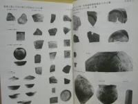 平塚市埋蔵文化財緊急調査報告書 2　昭和62年度発掘調査 諏訪前遺跡ほか9ヶ所
