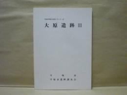 大原遺跡 3　平塚市埋蔵文化財シリーズ 10