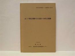 元三ヶ根古墳群・白土原9・10号古窯跡