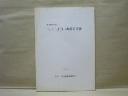 山王二丁目11番所在遺跡　東京都大田区