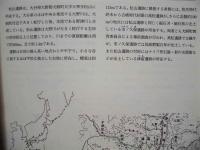 松山遺跡