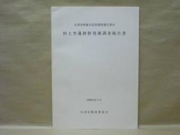 田上里遺跡群発掘調査報告書