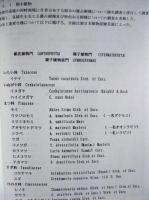 平成12年度 木曽川植物等調査研究業務 報告書