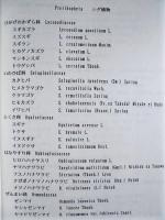 平成12年度 木曽川植物等調査研究業務 報告書