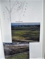 平成12年度 木曽川植物等調査研究業務 報告書