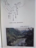 平成12年度 木曽川植物等調査研究業務 報告書