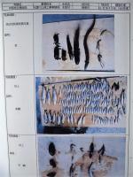 平成４年度 木曽三川上流河川水辺の国勢調査（魚介類）その１ 報告書