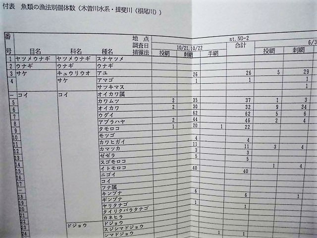 平成4年度 木曽三川上流河川水辺の国勢調査（魚介類）その1