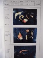 ［2点］平成４年度 木曽三川上流河川水辺の国勢調査（底生動物）その１ 報告書、その２ 報告書