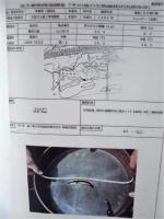 平成６年度 河川水辺の国勢調査（底生動物）木曽川 報告書