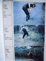 平成６年度 河川水辺の国勢調査（底生動物）木曽川 報告書