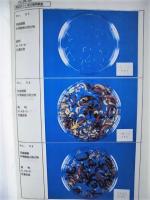 平成６年度 河川水辺の国勢調査（底生動物）木曽川 報告書