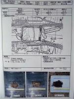 平成６年度 河川水辺の国勢調査（魚介類）揖斐川 報告書