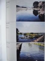 平成６年度 河川水辺の国勢調査（魚介類）長良川 報告書