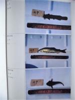 平成６年度 河川水辺の国勢調査（魚介類）長良川 報告書