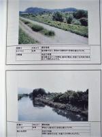 平成９年度 河川水辺の国勢調査（植物）長良川・揖斐川 報告書［保存版］