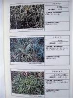 平成９年度 河川水辺の国勢調査（植物）長良川・揖斐川 報告書［保存版］