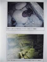 平成10年度 河川水辺の国勢調査（両生類・爬虫類・哺乳類）木曽三川 報告書