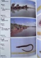平成12年度 河川水辺の国勢調査（魚介類）長良川・揖斐川 報告書