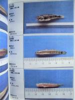 平成12年度 河川水辺の国勢調査（魚介類）長良川・揖斐川 報告書