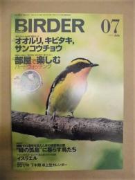 BIRDER　2017年7月号