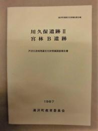 川久保遺跡 2　宮林B遺跡　戸沢川流域埋蔵文化財発掘調査報告書