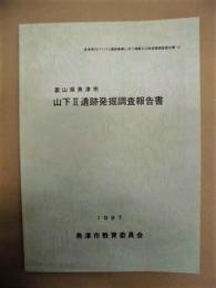 山下 2 遺跡発掘調査報告書　富山県魚津市