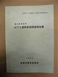 山下 2 遺跡発掘調査報告書　富山県魚津市