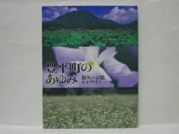 豊平町のあゆみ　悠久の記憶かがやきて