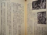 羽咋市史　原始・古代編