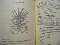 沖縄農業読本