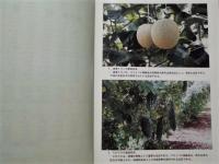 ［6点］ 沖縄県野菜・花きの統計 昭和61年2月、沖縄県の野菜・花きと流通 昭和62年2月、昭和63年2月、平成元年2月、平成2年3月、平成3年8月