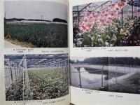 ［5点］ 沖縄県の農業構造改善事業　昭和62年10月、昭和63年10月、平成元年10月、平成3年3月、平成3年10月