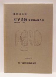 根下遺跡発掘調査報告書　藤沢市大庭