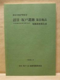 沼目・坂戸遺跡 第2地点発掘調査報告書　神奈川県伊勢原市