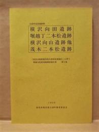 横沢向田遺跡　堀越丁二本松遺跡　横沢向山遺跡他　茂木二本松遺跡　大胡西北部遺跡群