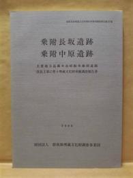 乗附長坂遺跡　乗附中原遺跡　主要地方道藤木高崎線単独別道路改良工事に伴う埋蔵文化財発掘調査報告書