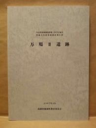万場2遺跡　中山間地域圃場整備工事予定地内埋蔵文化財発掘調査報告書