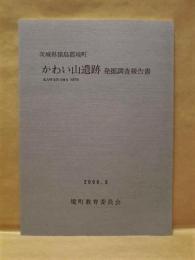 かわい山遺跡発掘調査報告書　茨城県猿島郡境町