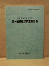 天神遺跡確認調査報告書　兵庫県出石郡但東町