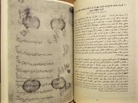 カージャール朝期イランの農業用水関連文書 （ペルシア語文書集成, 6）