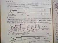 大裁女物袷長着